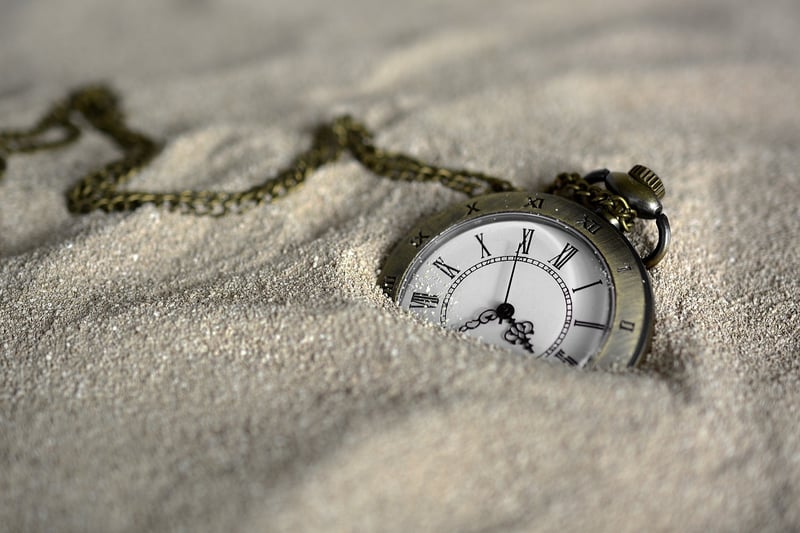 Time Loop Survival